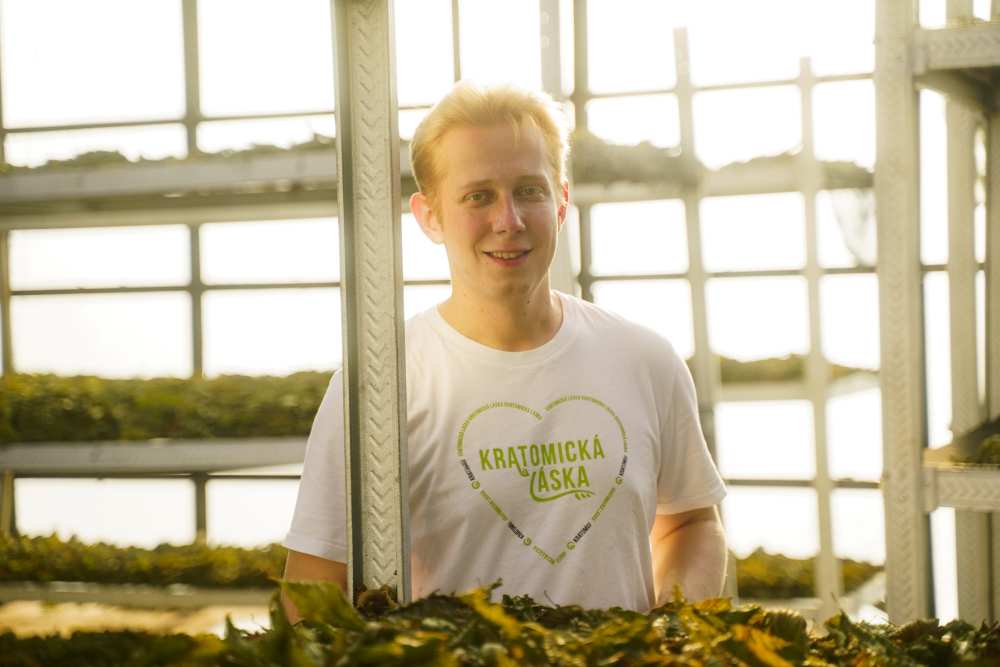 The owner of a kratom farm in a greenhouse where kratom leaves are dried